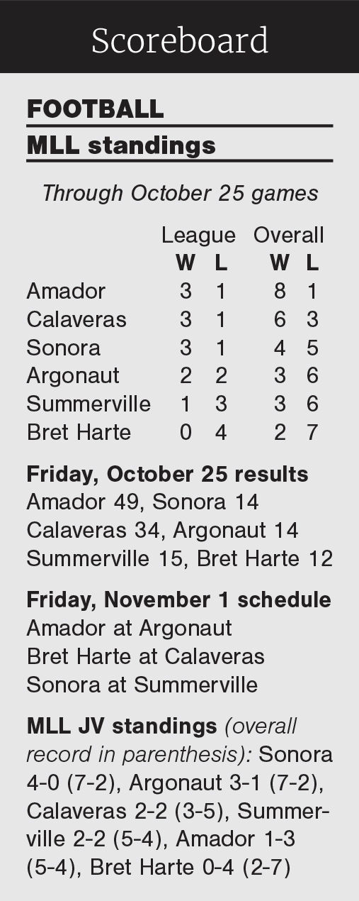 MLL football standings